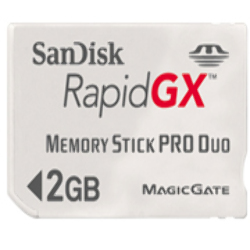 Sandisk Gaming RapidGX Memory Stick Pro Duo 2GB + Lector USB