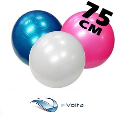 Pelota Balon Pilates 75Cm Yoga Fitness Terapia Embarazo